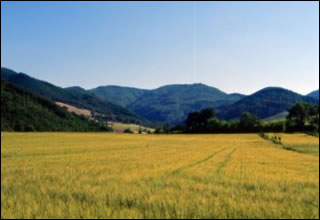 Urbania San Martino i monti