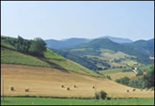 Urbania, San Martino: agricoltura intensiva